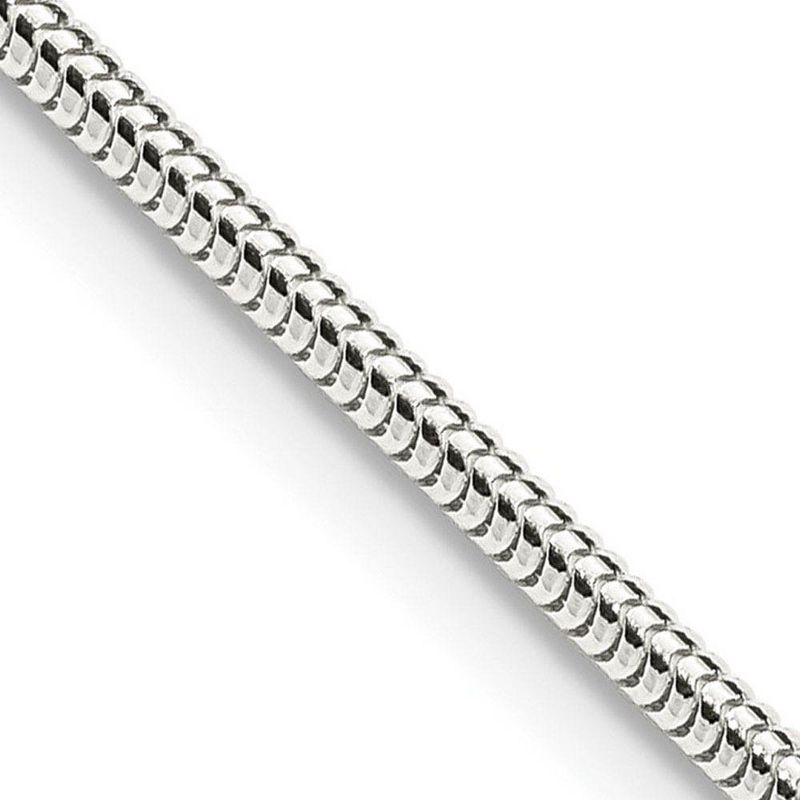 Black Bow Jewelry 2mm Sterling Silver Solid Classic Round Snake Chain Necklace, 22 Inch