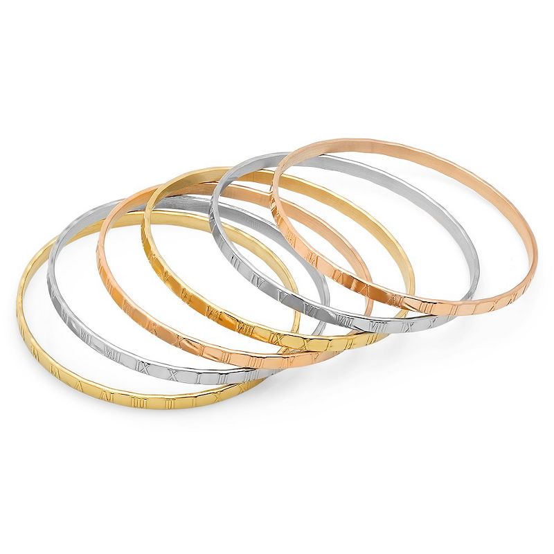 Steeltime Ladies set of 6 stainless steel, 18k gold plated stainless steel, and 18k rose gold plated stainless steel bangle with roman numeral accent
