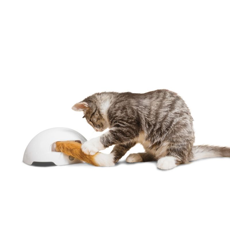 Premier Pet Fox Den Automatic Cat Toy - White
