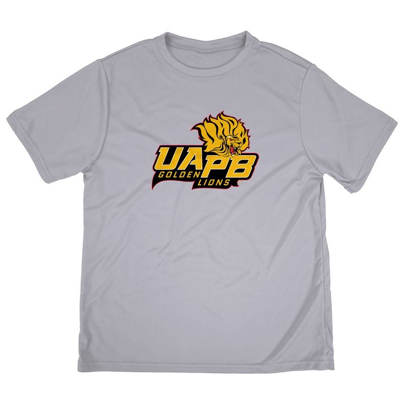 Boys' University of Arkansas at Pine Bluff Sport T-Shirt Primary Logo Athletic Heather X Large